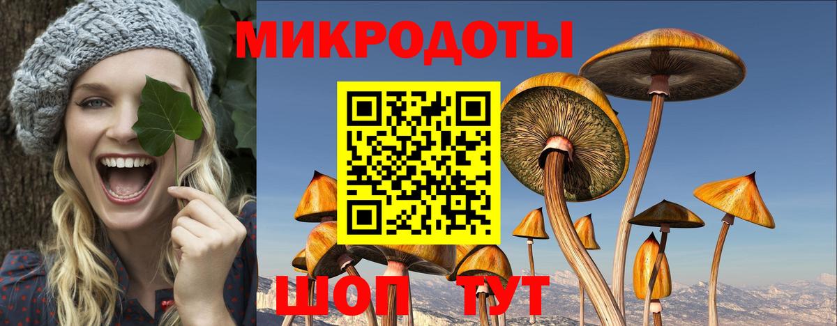 Строитель  Галлюциногенные грибы ЛСД  Вход с VPN 